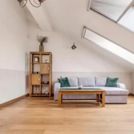 Apartment Cosy Place In Old Town Vilnius